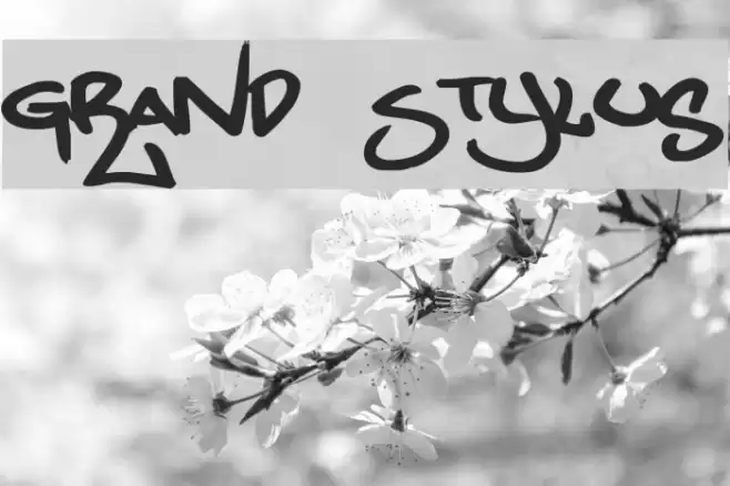 Grand Stylus Font examples