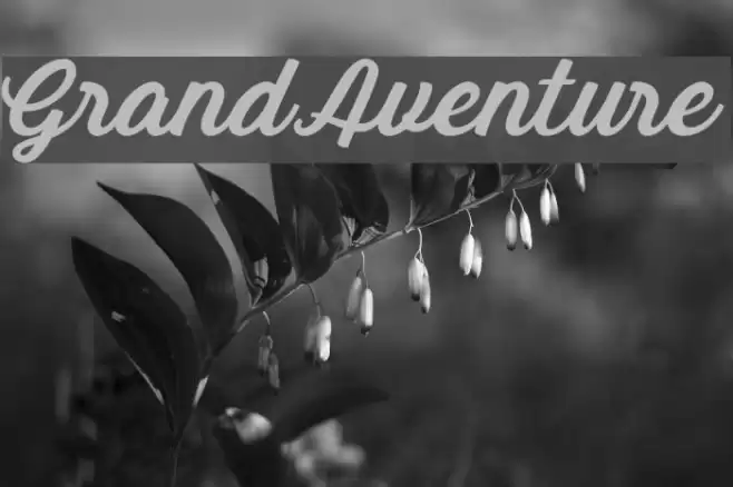 GrandAventure 字体 examples