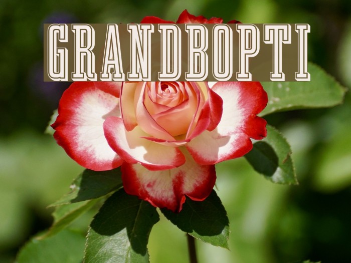GrandBOpti Font examples