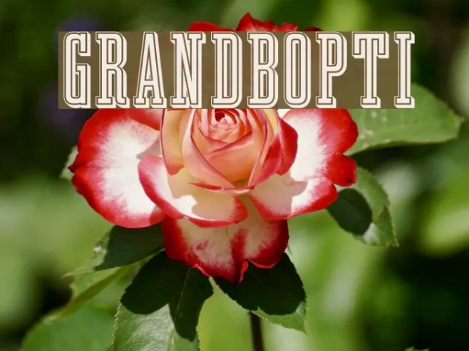 GrandBOpti Example 2