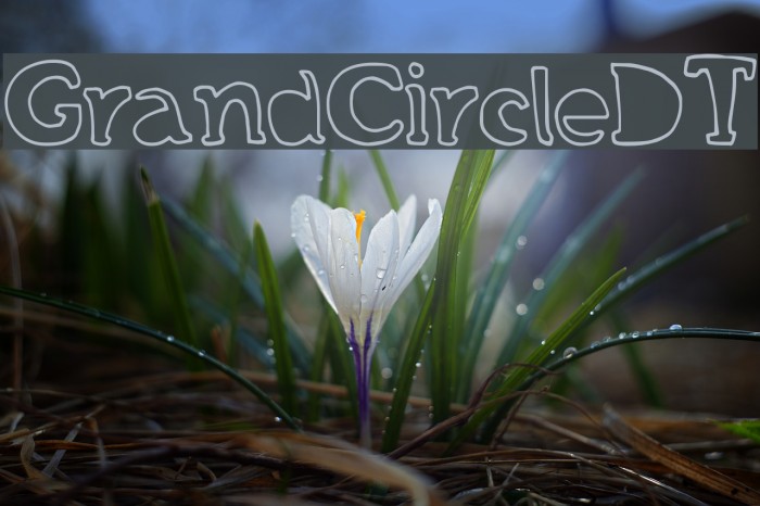 GrandCircleDT Font examples