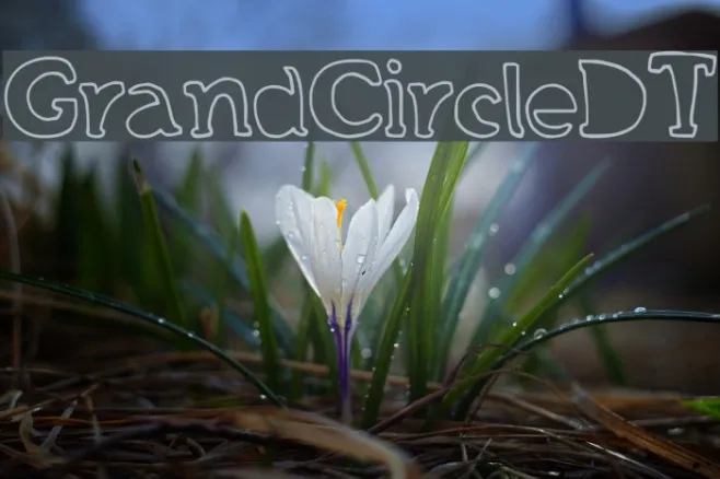 GrandCircleDT Example 3