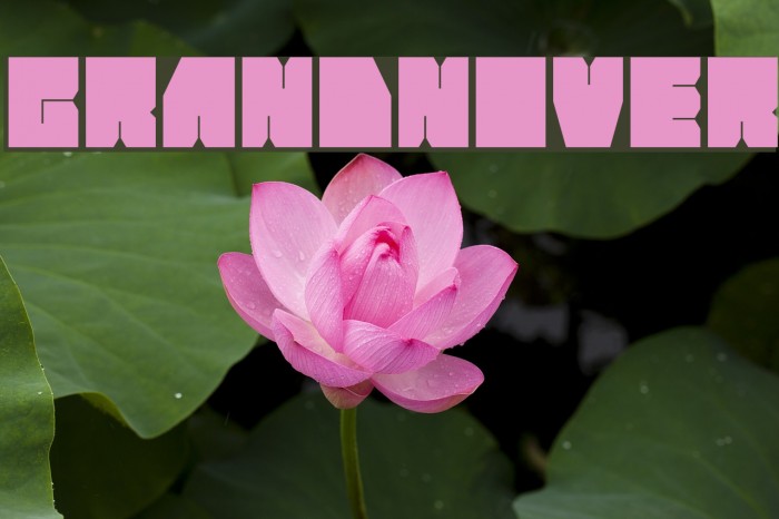 GrandNover Font examples