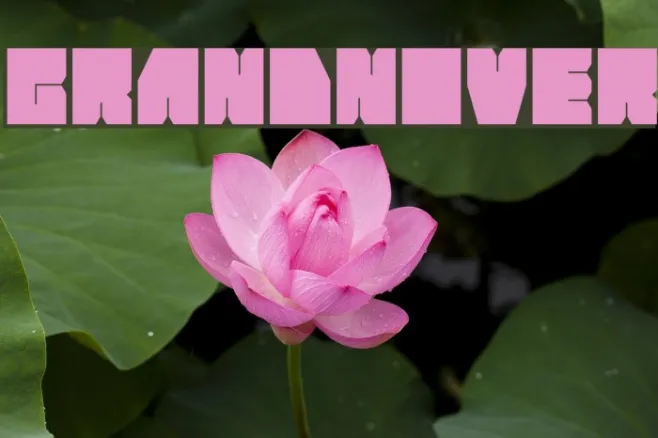 GrandNover Example 3