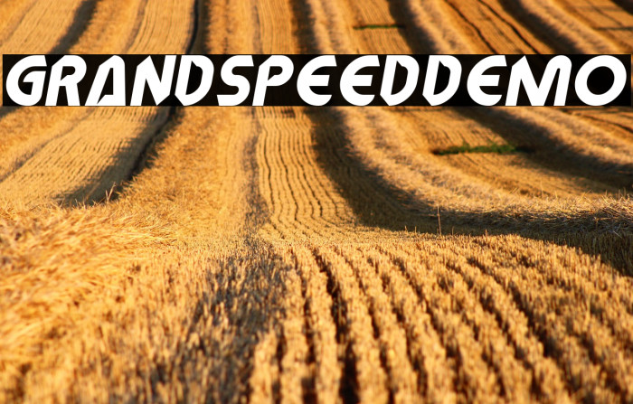 GrandSpeedDemo Caratteri examples