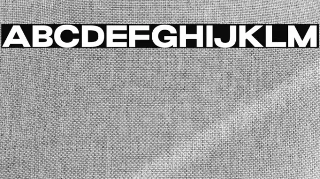 GrandWilsonSansDEMO Font examples