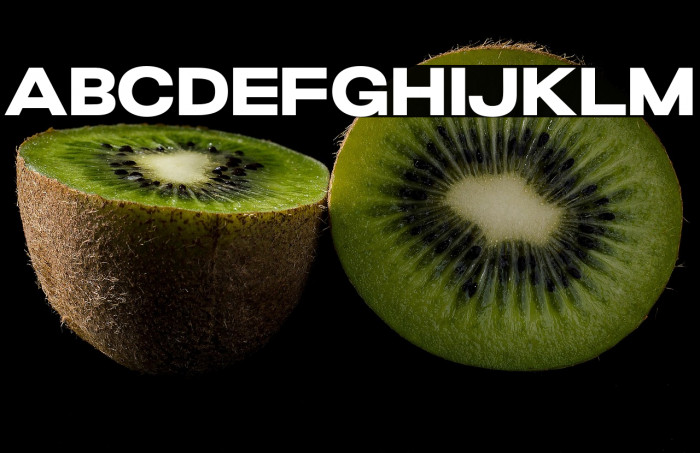 GrandWilsonSansDEMO Example 3