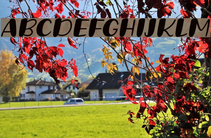 Grande October Three Italic Font examples