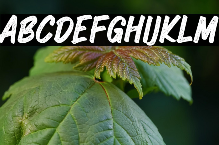 GrandeGrungeDEMO-Regular Example 2