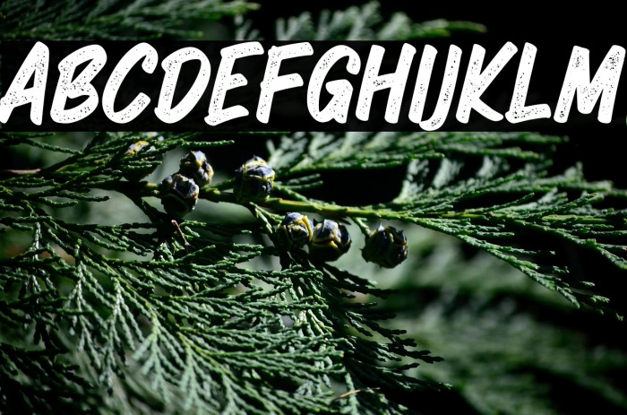 GrandeGrungeDEMO-Regular Example 3