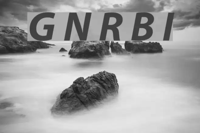 Grandesign Neue Roman Bold Italic  examples