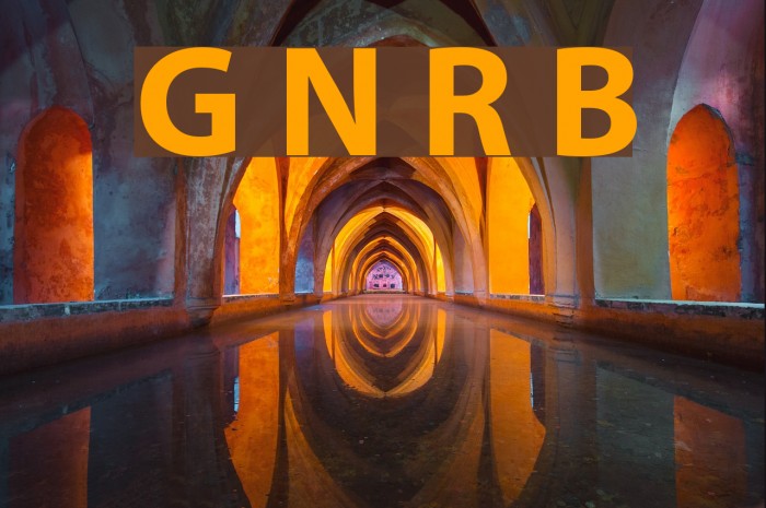 Grandesign Neue Roman Bold Font examples