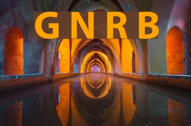 Grandesign Neue Roman Bold Example 1
