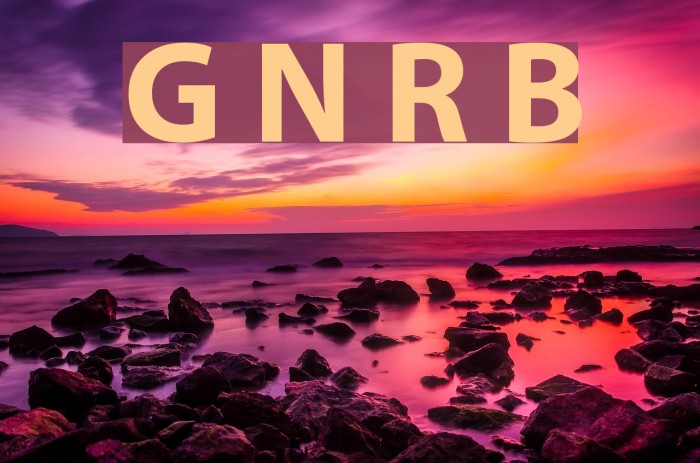 Grandesign Neue Roman Bold Font examples