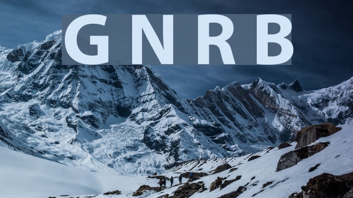 Grandesign Neue Roman Bold Font examples