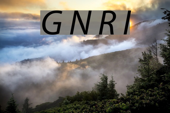 Grandesign Neue Roman Italic Шрифта examples
