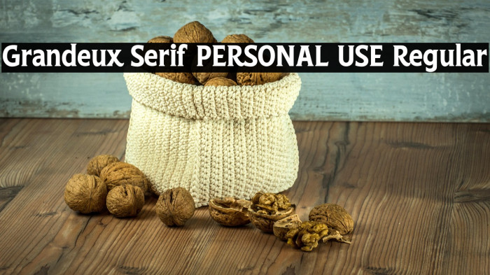 Grandeux Serif PERSONAL USE Regular Example 1