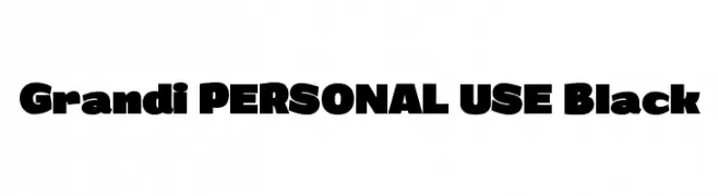 Grandi PERSONAL USE Black 