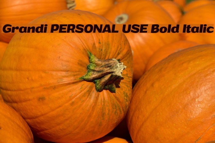 Grandi PERSONAL USE Bold Italic Font examples