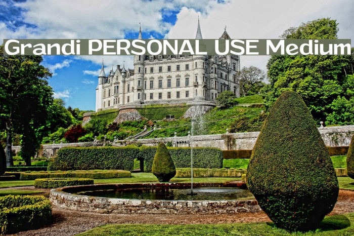 Grandi PERSONAL USE Medium Example 1