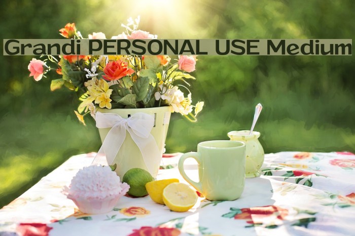 Grandi PERSONAL USE Medium Example 3