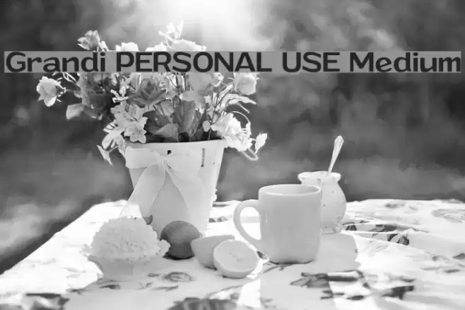 Grandi PERSONAL USE Medium Font examples