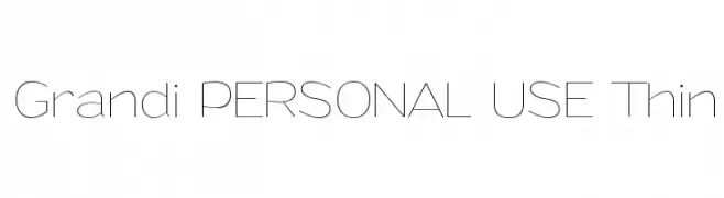 Grandi PERSONAL USE Thin 