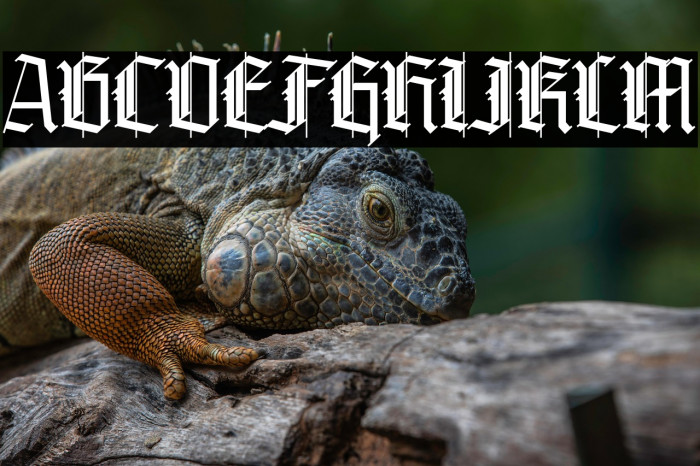 Grandice DEMO Example 2