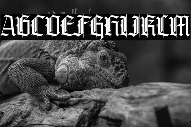 Grandice DEMO Font examples