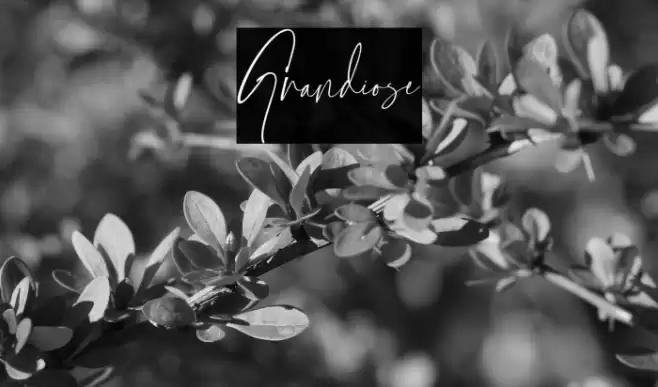 Grandiose Fuentes examples