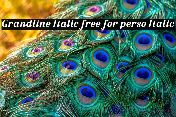 Grandline Italic free for perso Italic Example 3