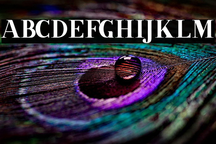 Grandline free for personal Example 1