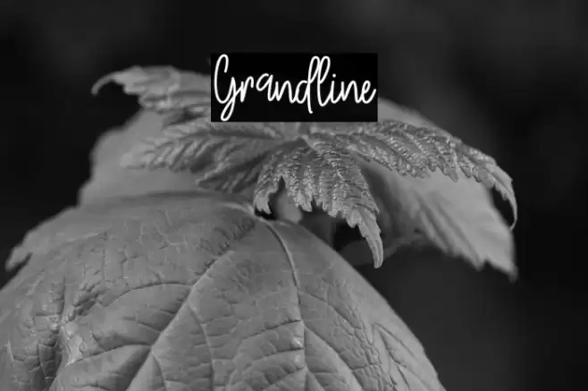 Grandline फ़ॉन्ट examples