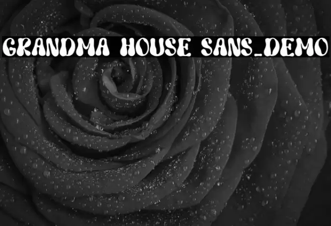 Grandma House Sans_DEMO Font examples