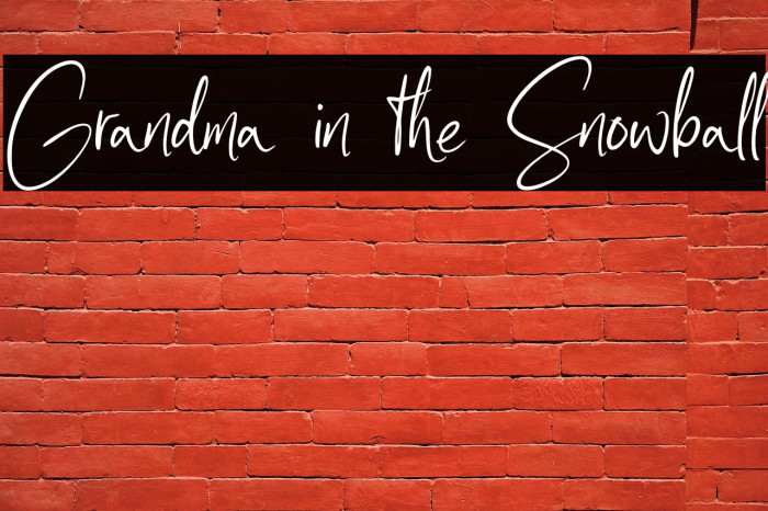 Grandma in the Snowball Example 1