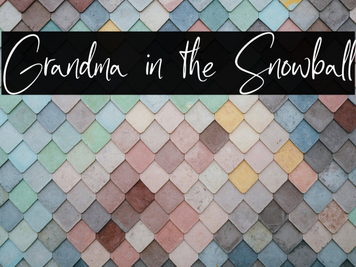 Grandma in the Snowball Example 3