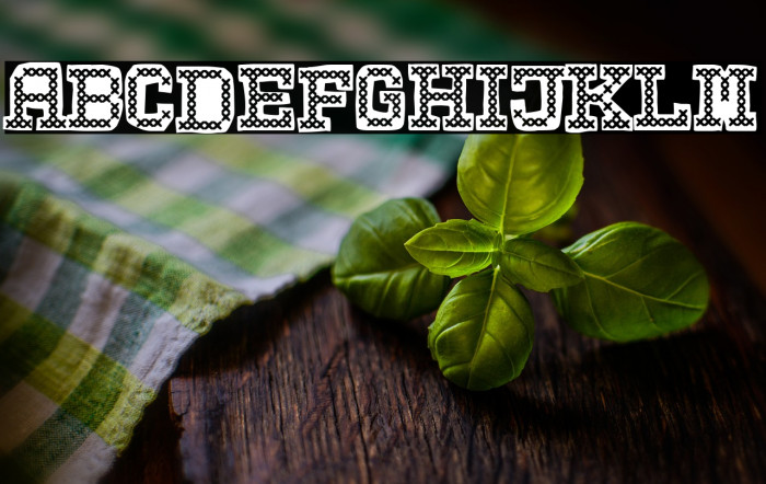 Grandma is a Punk Example 3