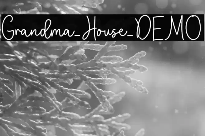 Grandma_House_DEMO Font examples
