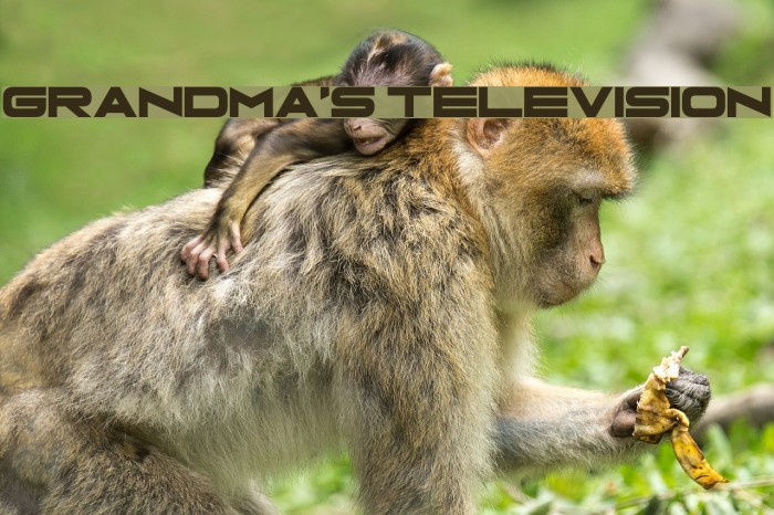 Grandma's Television Font examples
