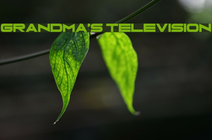 Grandma's Television Font examples