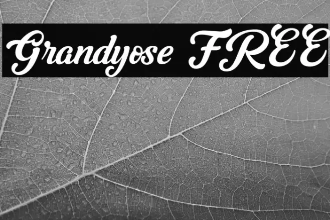 Grandyose FREE Font examples