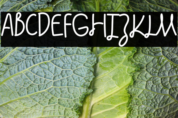 Grane Free Trial Шрифта examples