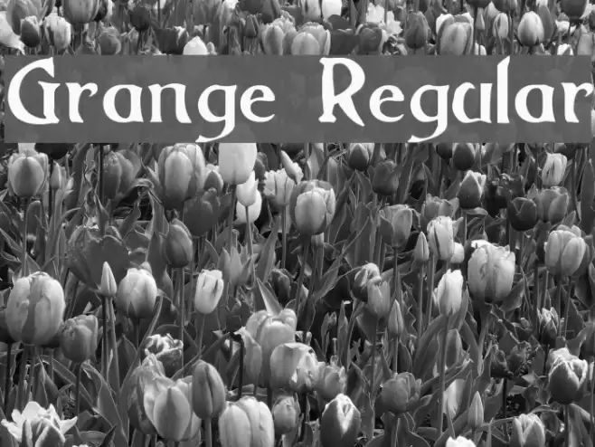 Grange Regular Font examples