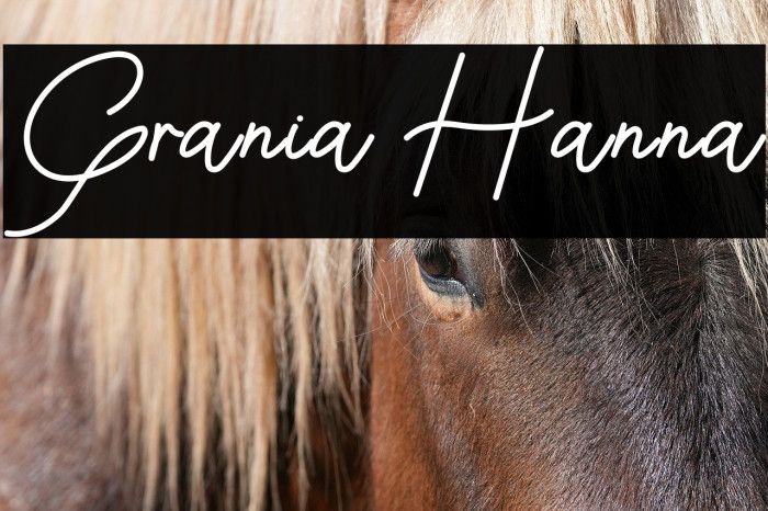 Grania Hanna Example 2