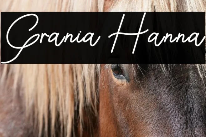 Grania Hanna Example 2
