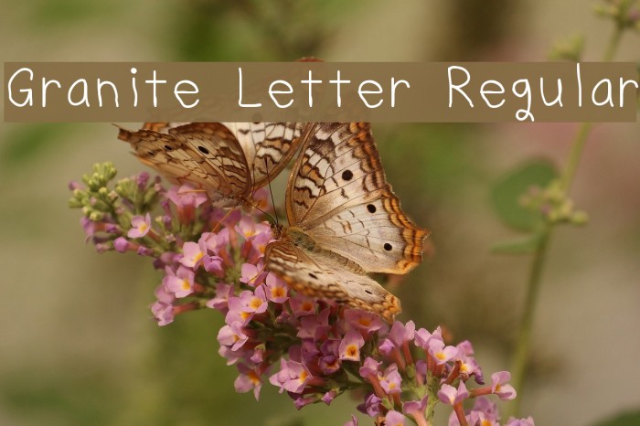 Granite Letter Regular Font examples