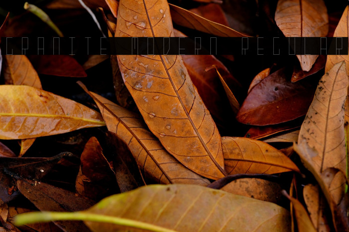 Granite Modern Regular Example 1