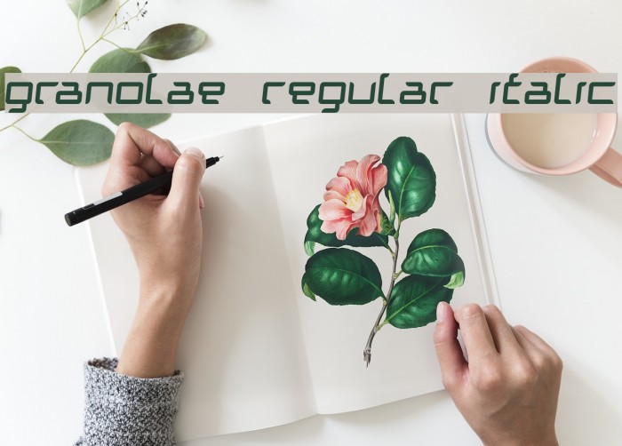 Granolae Regular Italic Font examples