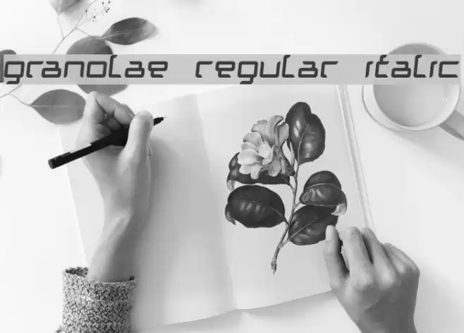 Granolae Regular Italic फ़ॉन्ट examples