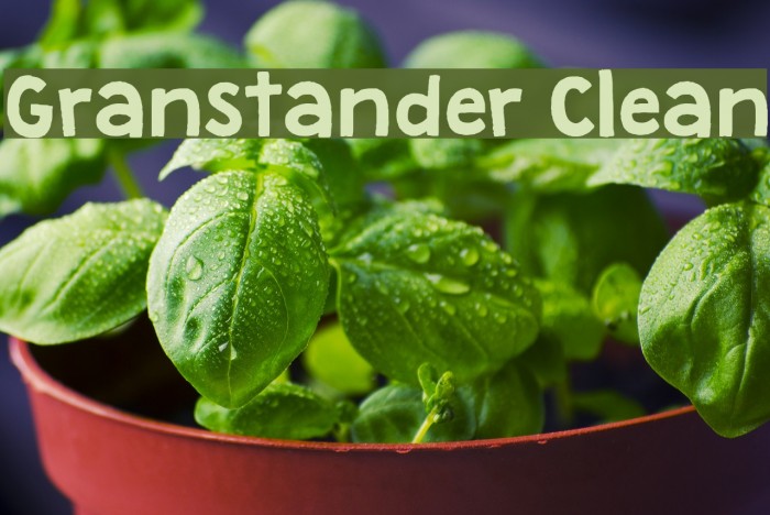 Granstander Clean Font examples